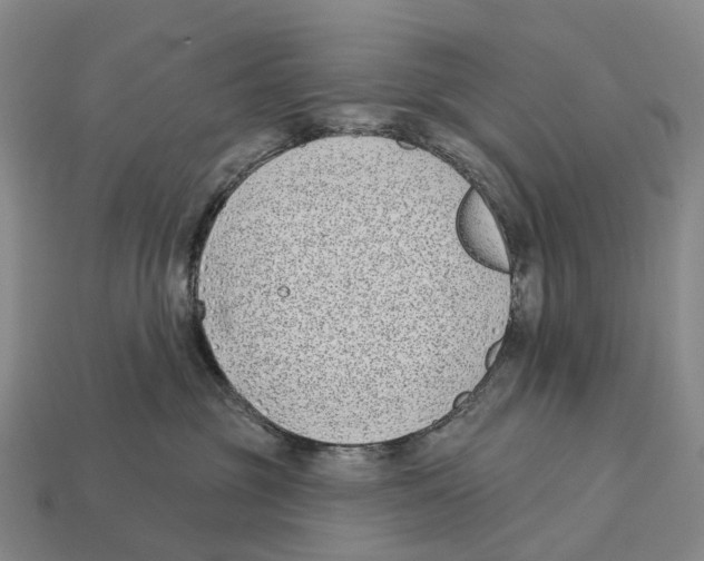 X0000113100381200909251036