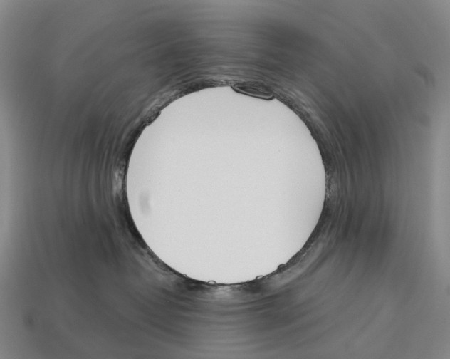 X0000113100382200909251036