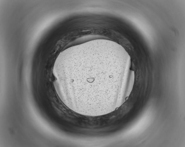 X0000113100383200909251036