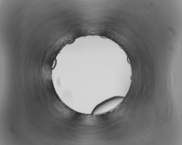 X0000113100384200909251036