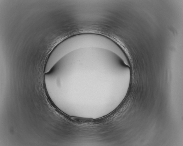 X0000113100385200909251036