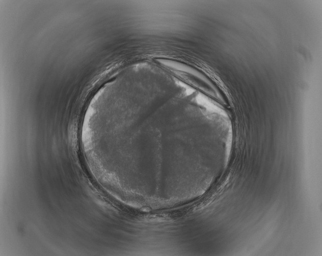 X0000113100386200909251036