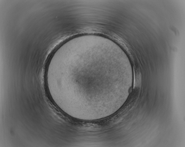 X0000113100387200909251036