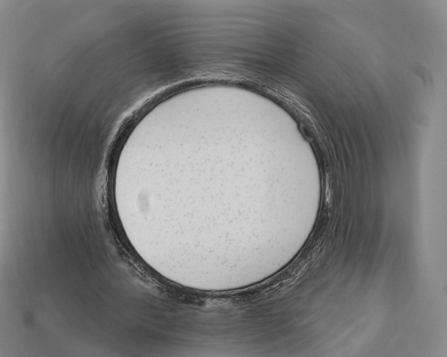 X0000113100388200909251036