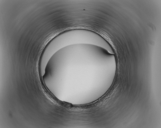 X0000113100389200909251036