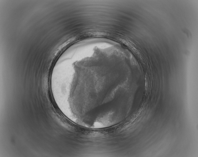 X0000113100390200909251036