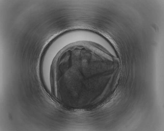 X0000113100391200909251036