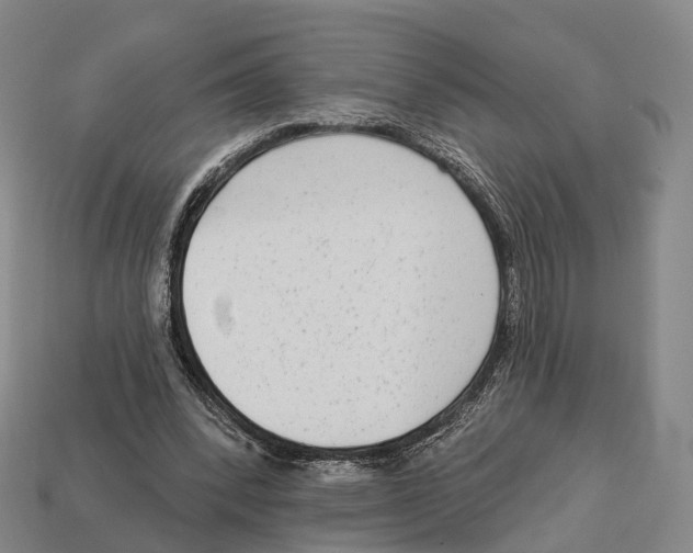 X0000113100392200909251036