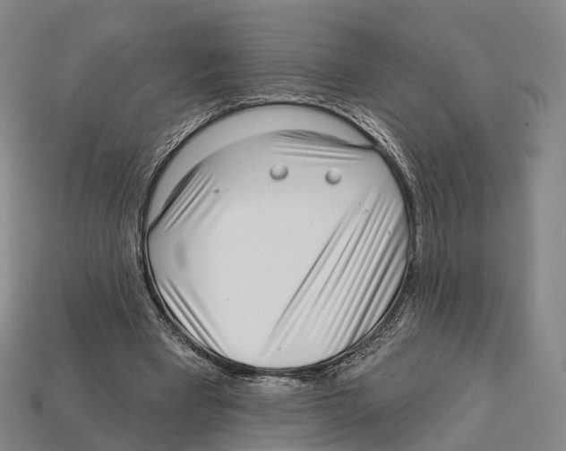 X0000113100393200909251036