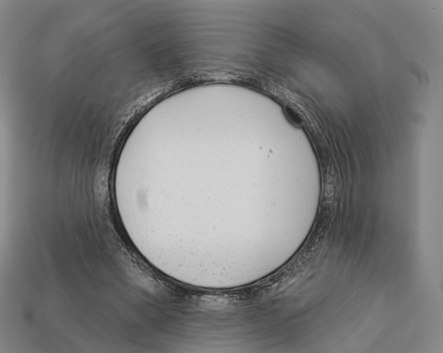 X0000113100394200909251036