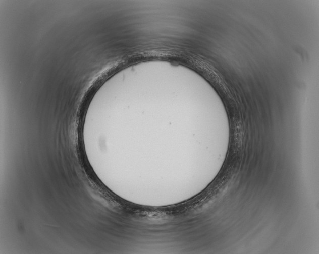 X0000113100395200909251036