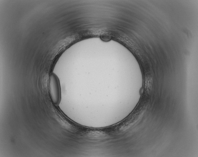 X0000113100397200909251035