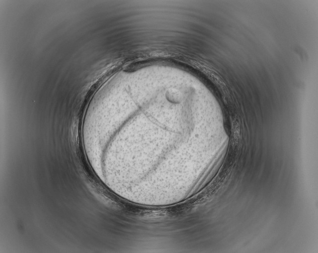 X0000113100398200909251035