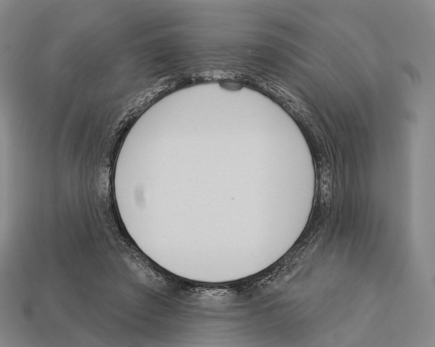 X0000113100401200909251035