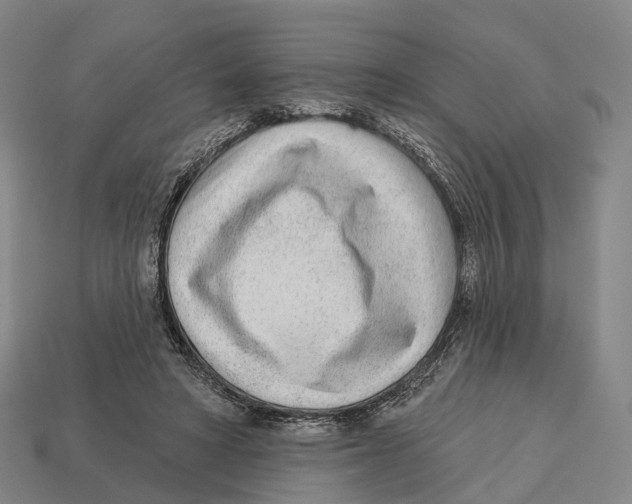 X0000113100402200909251035
