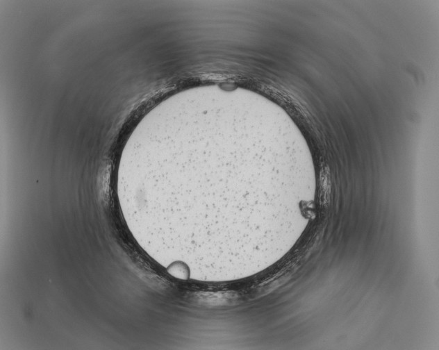 X0000113100404200909251035