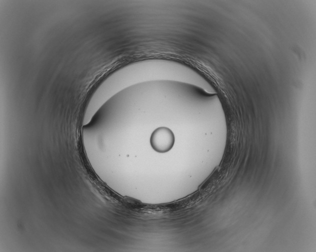 X0000113100405200909251035