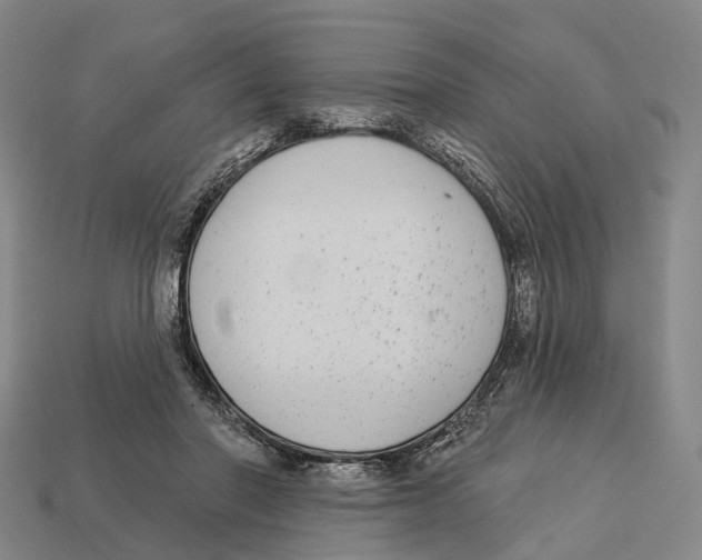 X0000113100406200909251035