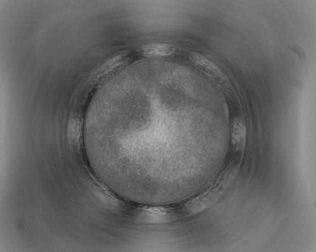 X0000113100409200909251035