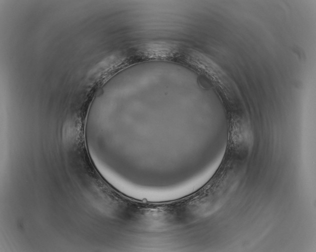 X0000113100411200909251035