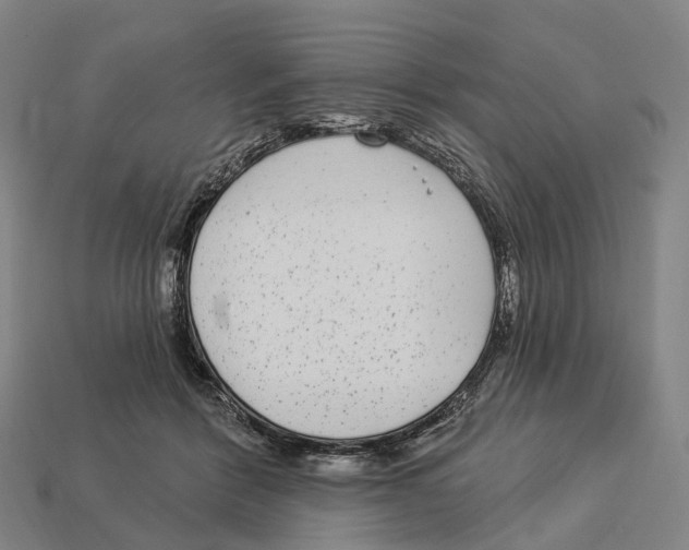 X0000113100412200909251035