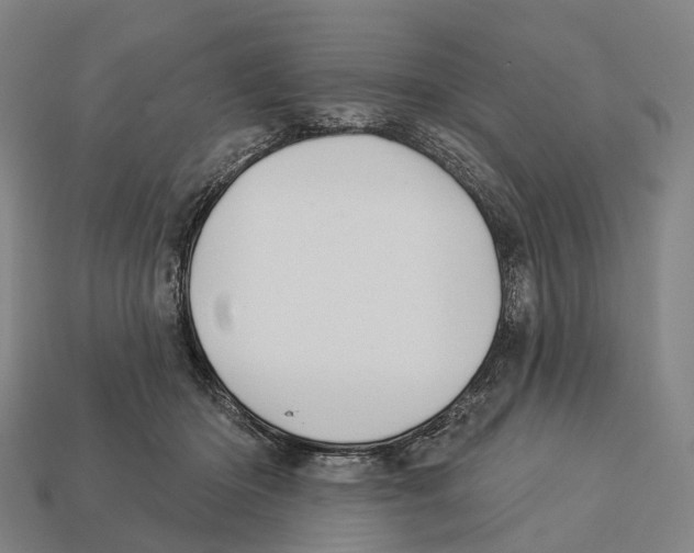 X0000113100414200909251035