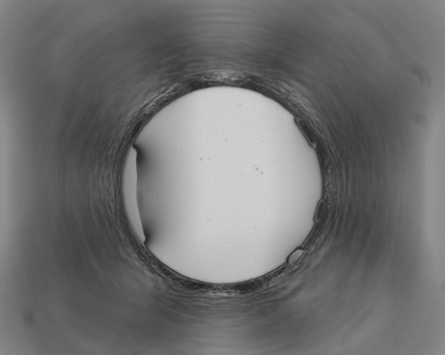 X0000113100415200909251035