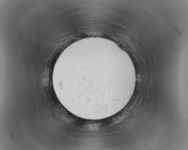 X0000113100416200909251035