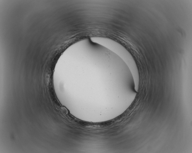 X0000113100417200909251035