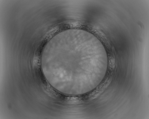 X0000113100419200909251035