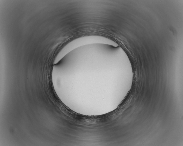 X0000113100423200909251035