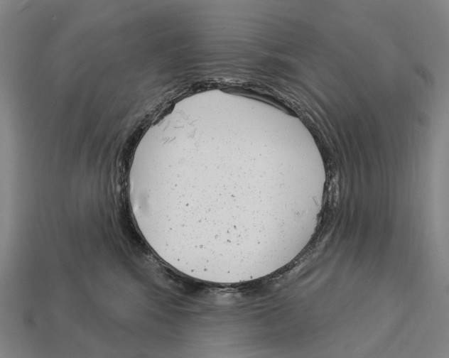 X0000113100424200909251035