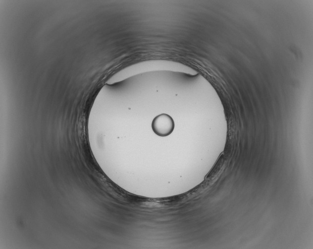 X0000113100425200909251035