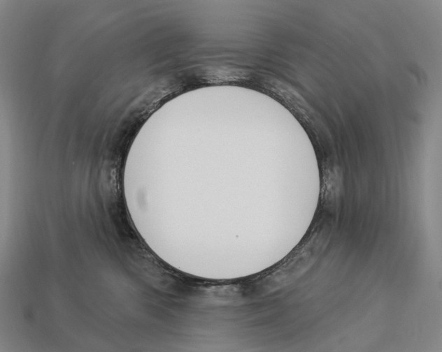 X0000113100426200909251035