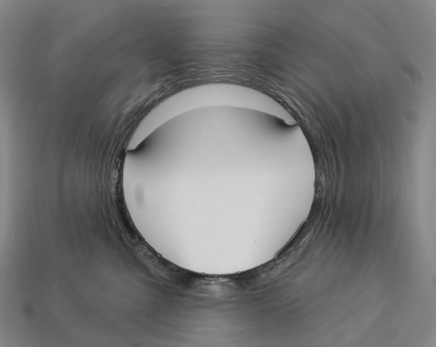 X0000113100427200909251035