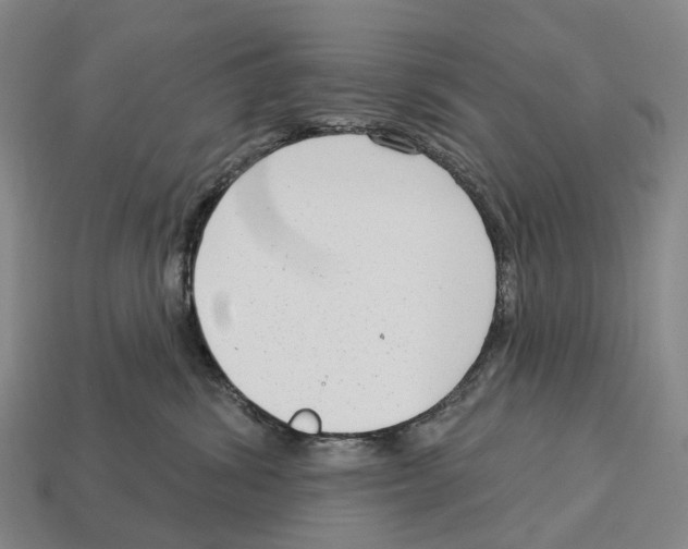 X0000113100428200909251035