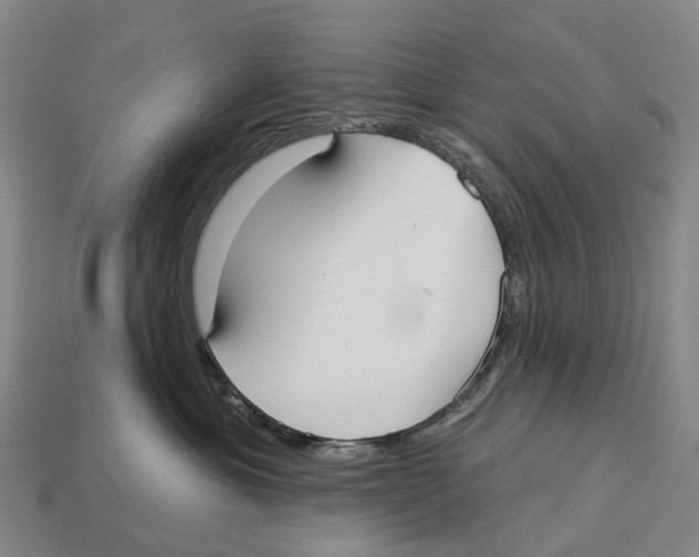 X0000113100429200909251035