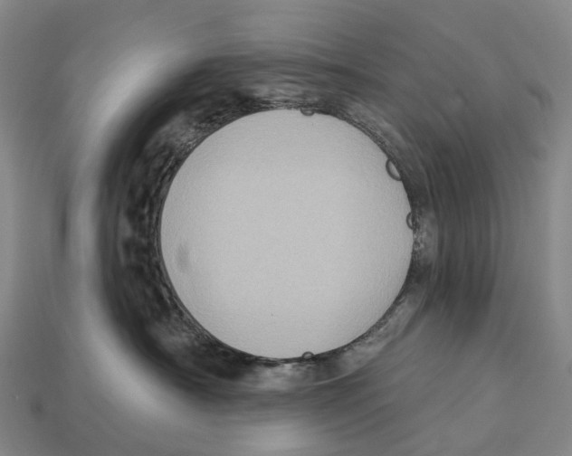 X0000113100430200909251035