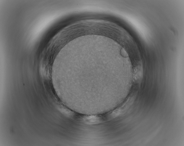 X0000113100431200909251035