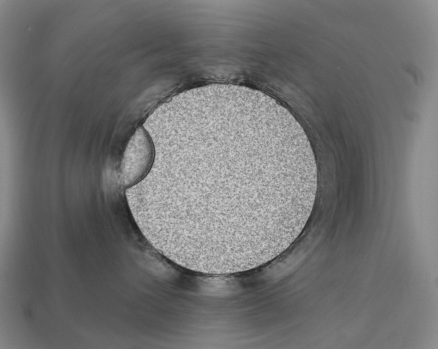 X0000113100432200909251035