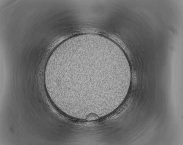 X0000113100433200909251034