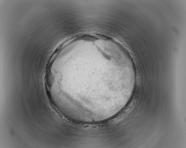 X0000113100434200909251034