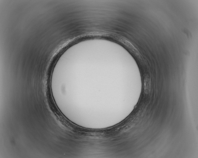 X0000113100436200909251034