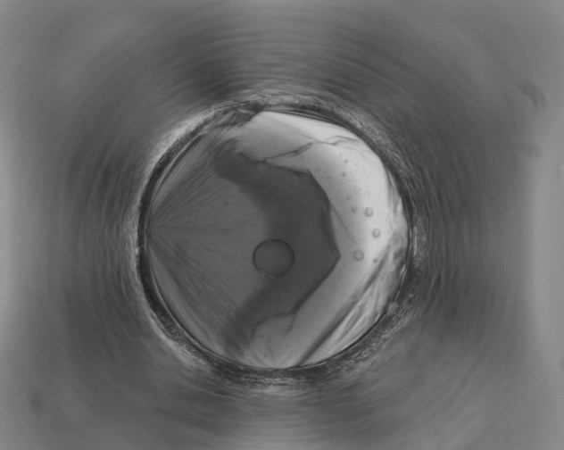 X0000113100438200909251034