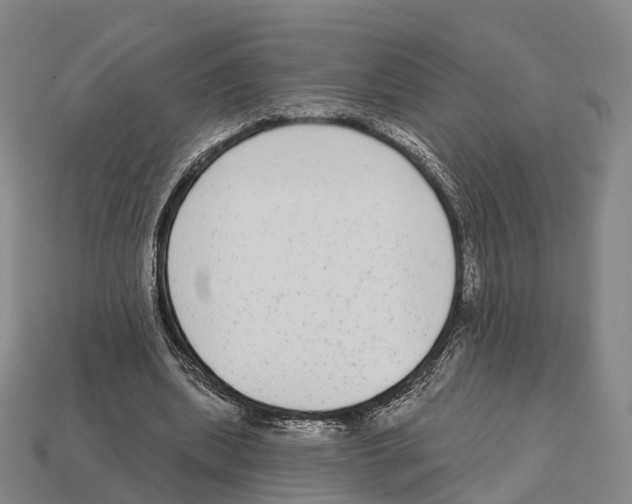 X0000113100439200909251035
