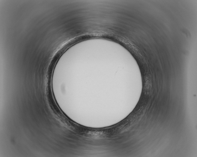X0000113100440200909251035