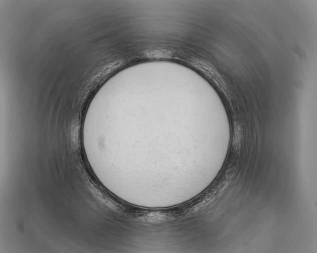 X0000113100441200909251035
