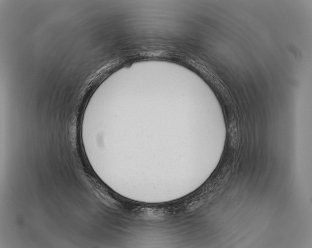 X0000113100442200909251035