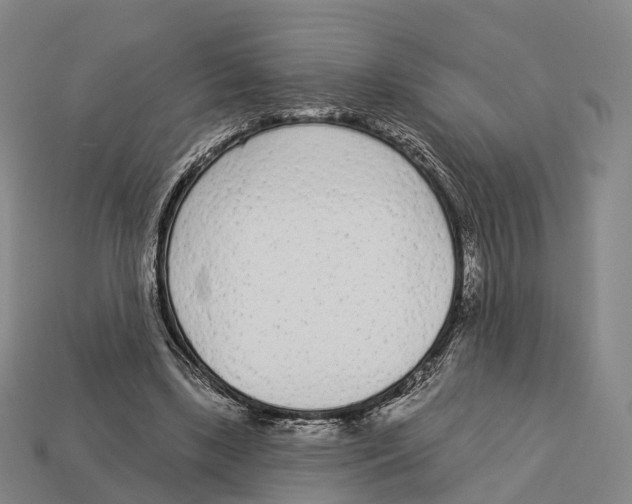 X0000113100443200909251035