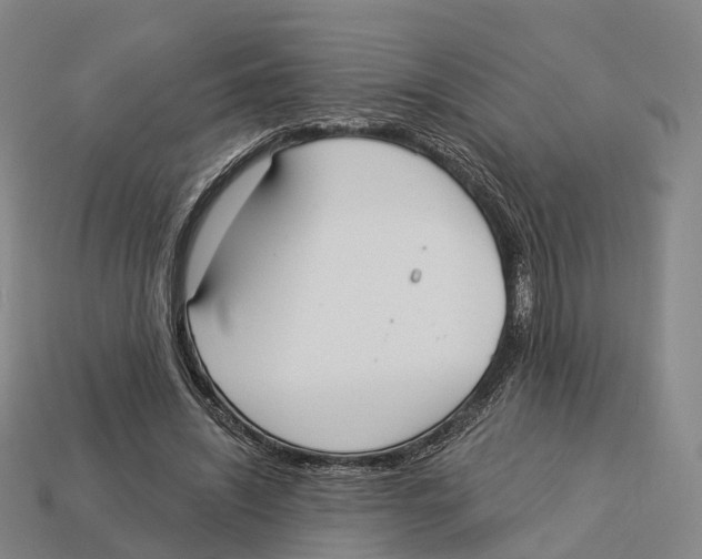 X0000113100444200909251035